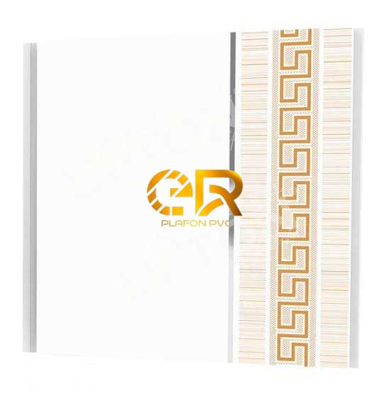 ER plafon pvc9